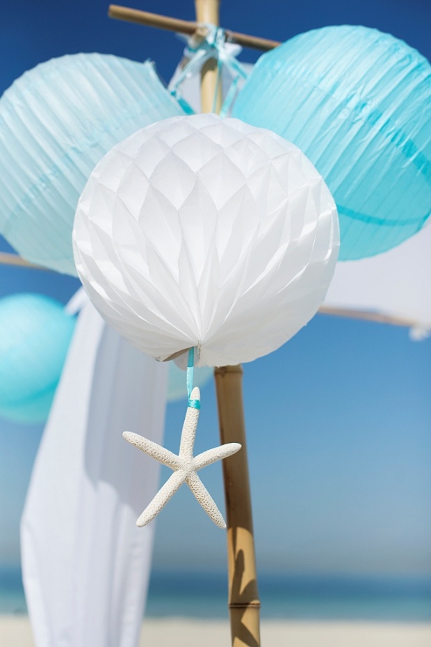 Party Supplies Dubai Party Camel